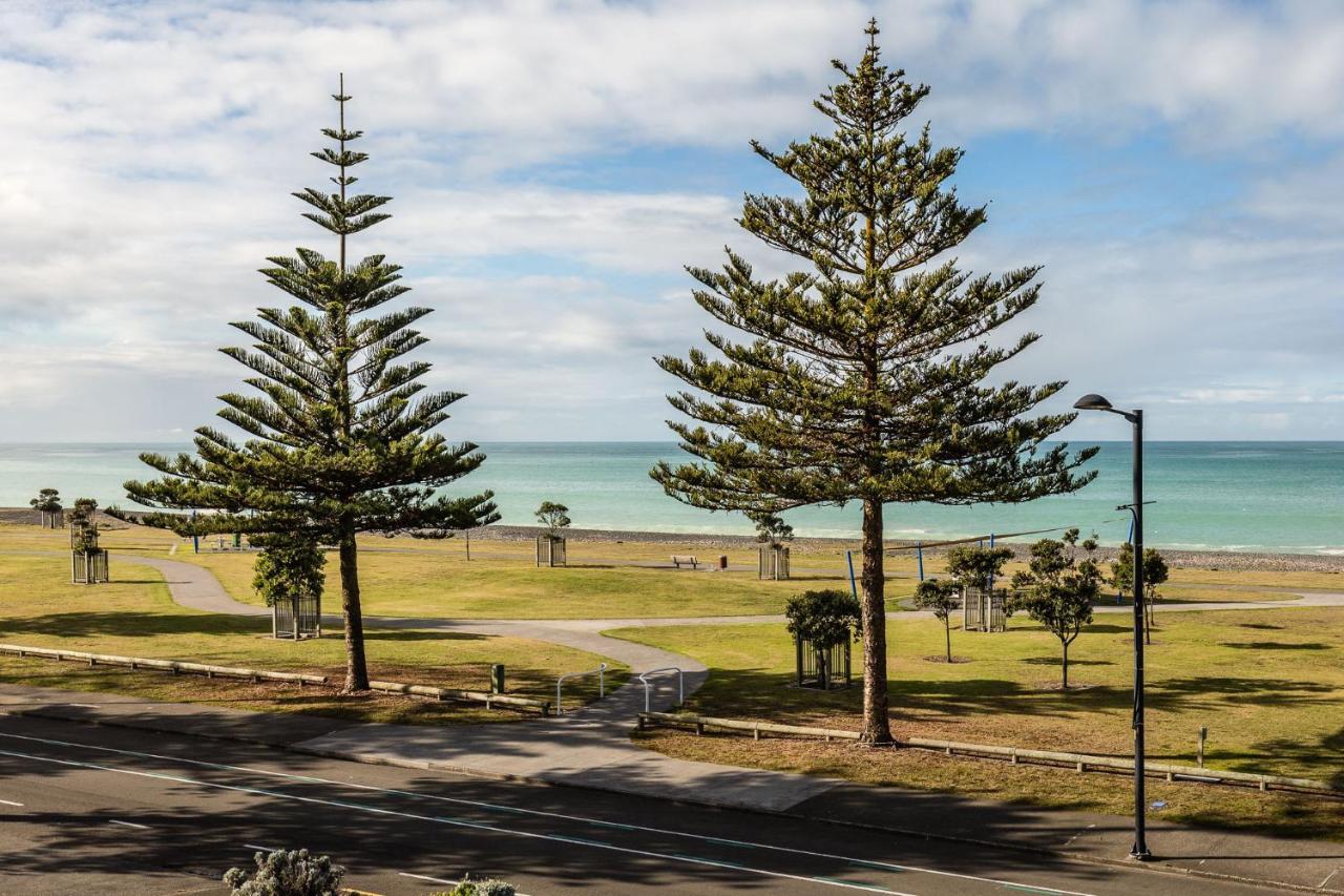 Pebble Beach Motor Inn Napier Exterior foto Araucaria columnar